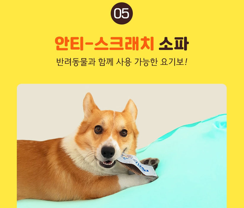 [KAKAO FRIENDS] - Yogibo Kakao Friends Edition Caterpillar Roll Midi OFFICIAL MD