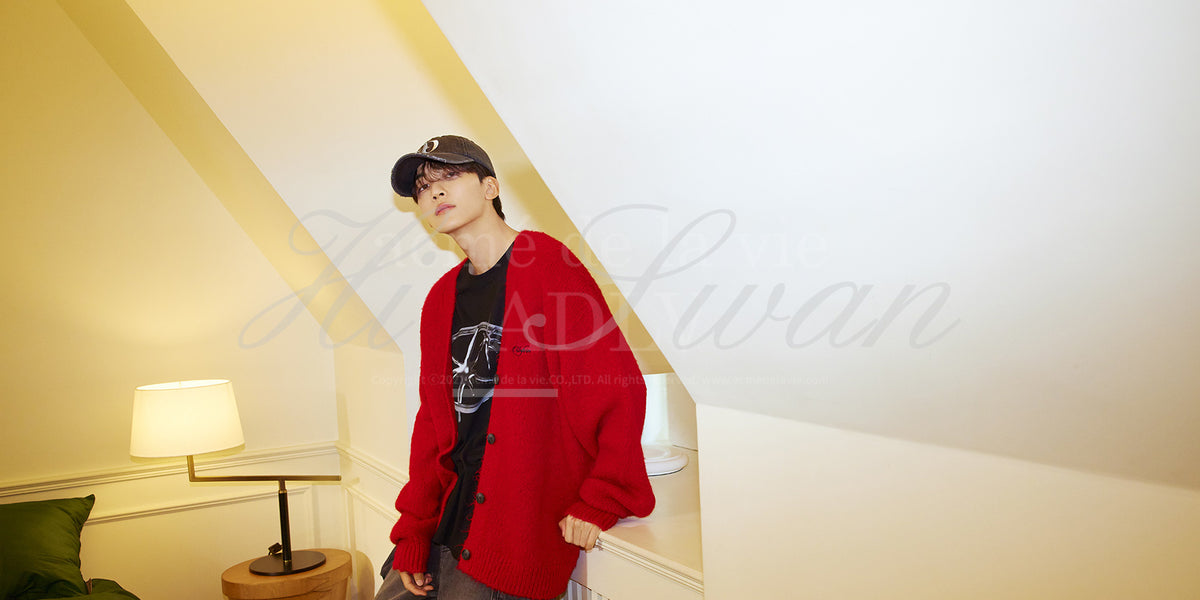 SEVENTEEN] ADLV X JEONGHAN LETTERING LOGO MOHAIR CARDIGAN RED – HISWAN