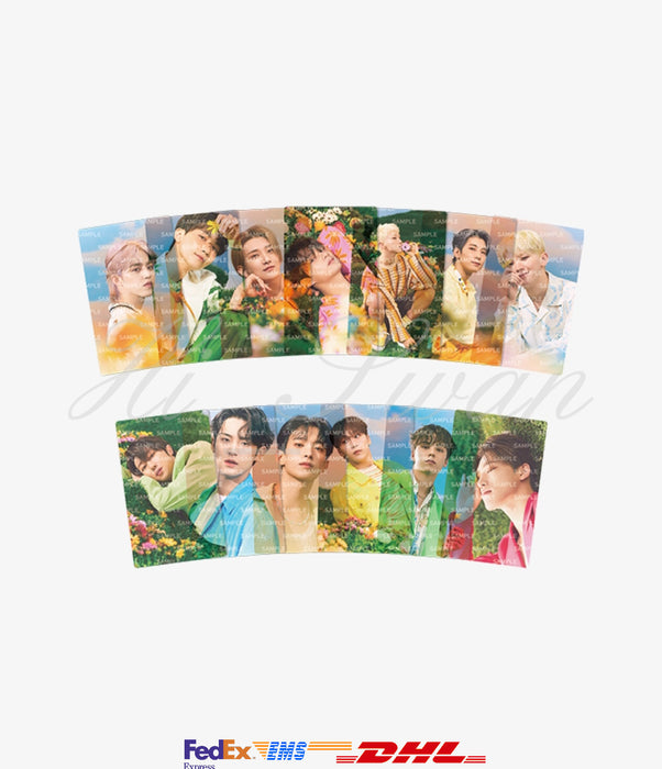 [SEVENTEEN] - Clear Photo Card Set OFFICIAL MD